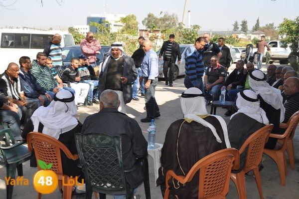 rayetsol7s310 (23).JPG